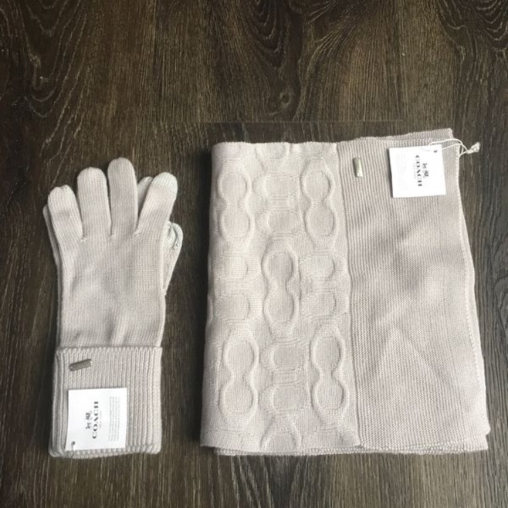 COACH Light Grey Scarf and Gloves